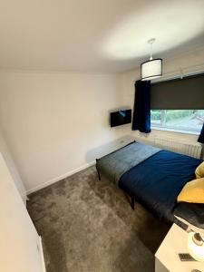 Modern House - Parking - Leisure - Professional