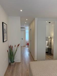 Kalelarga Boutique Rooms - Old Town Zadar