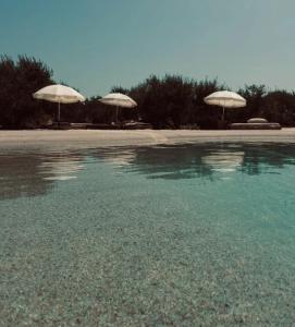 Aventure insolite, Tipi Bohème, Domaine Finca Lessya & SPA