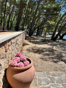 Villa Ruza at Punta rata beach, apartment Dream