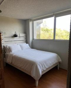 Luxury GuestHouse CDMX Near Stadium Azteca 2