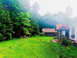 Apartament willa Radosna