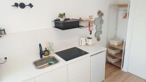 Seabird Lisbon Studio