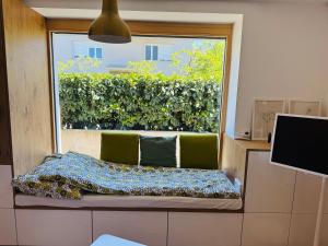 Cozy and peaceful flat with free parking