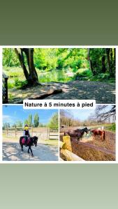 Coin de paradis