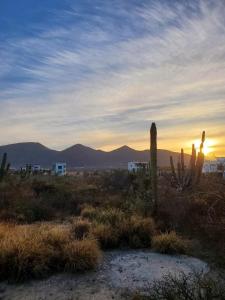 Casita del Mar - Walk to the beach