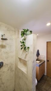 Casita del Mar - Walk to the beach