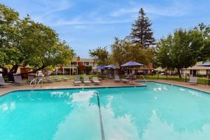 Silverado Resort and Spa 267