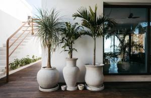 5BR Exclusive Beachfront Villa with Pool in Tulum