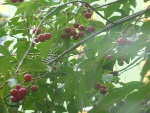 Apartament na Przymorzu