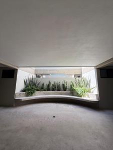 Mutuo Loft Centro