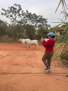 Authentic Joe homestay