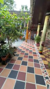 Casa Suma Selva