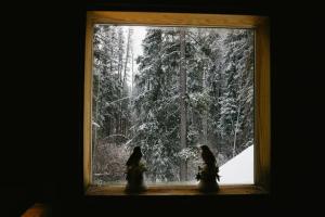 The Arctic Divide Lodge