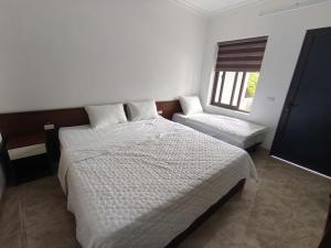 Tam Coc Lotus Homestay