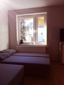 Apartament Patryk