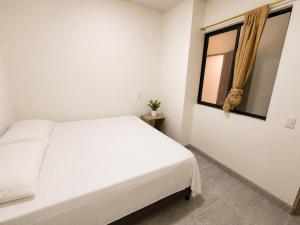 Moderno y cómodo apartamento 201