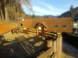 Ubytování - Černá hora