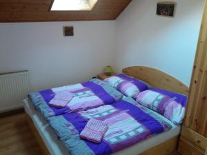 Ubytování - Černá hora