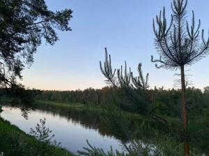 Punios aidas - gamtos oazė ant Nemuno kranto
