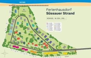 Seelöwe