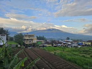 the Ratu Villas Kota Batu
