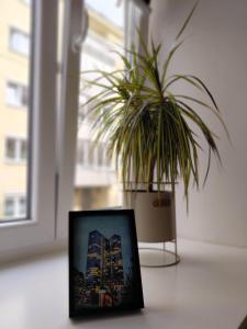 Lilia - Dolce Duo Homes