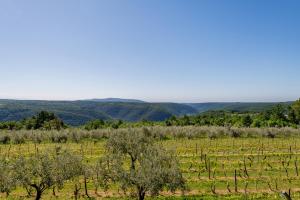 Apartment Jadranka with Private Pool & Valley View in Green Istria