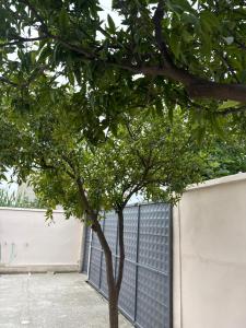 Villa Fatos - beach apartment