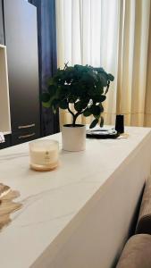 Rebeccas Noir Suite