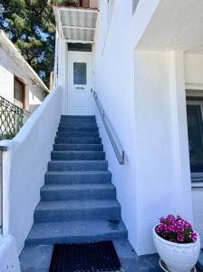 Domis Cottage