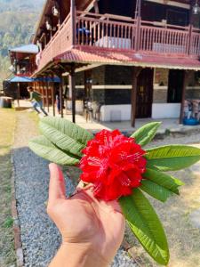 Hillage Retreat & Farmstay