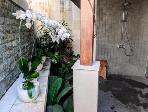 Bima House - Quiet Family House Sleeps 6