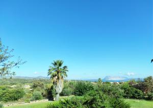 LE MAREE MIRIACHEDDU img32