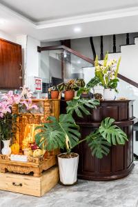 Lan Chi Homestay