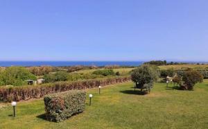 Il Tulipano