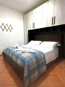 Il Tulipano img31