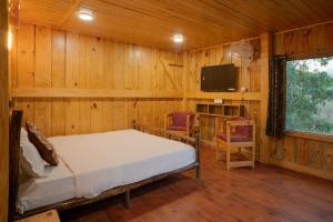Wildernest Resort