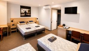 Modern Big Room in Central Vilnius