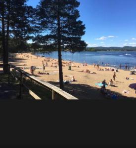 Nordic Cabin Färila ,Sweden,fishing,nature Järvsö Bike Park