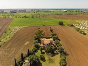 Holiday Home Tarquinia Garden Home by Interhome