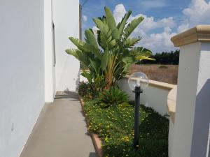 Villa Valeria 1