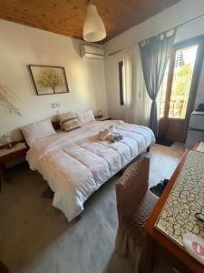 Costas Inn