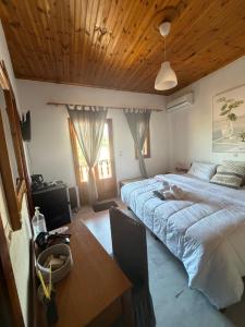 Costas Inn