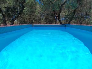 Casale Eucalipto