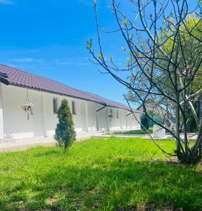 Mafmaf Tiny Houses - încasare cu card de vacanță