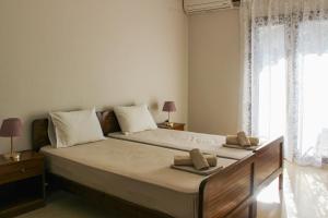Anthema Apartments
