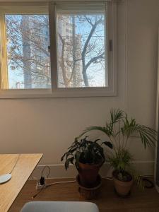 Stay Moon Hongdae 5min to subway and Han river