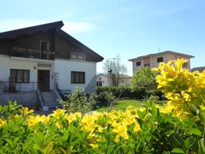 House Angy
