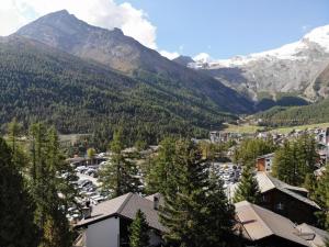 Apartment Alphubel Peak & Unlimited by Interhome